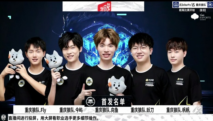一种全新的