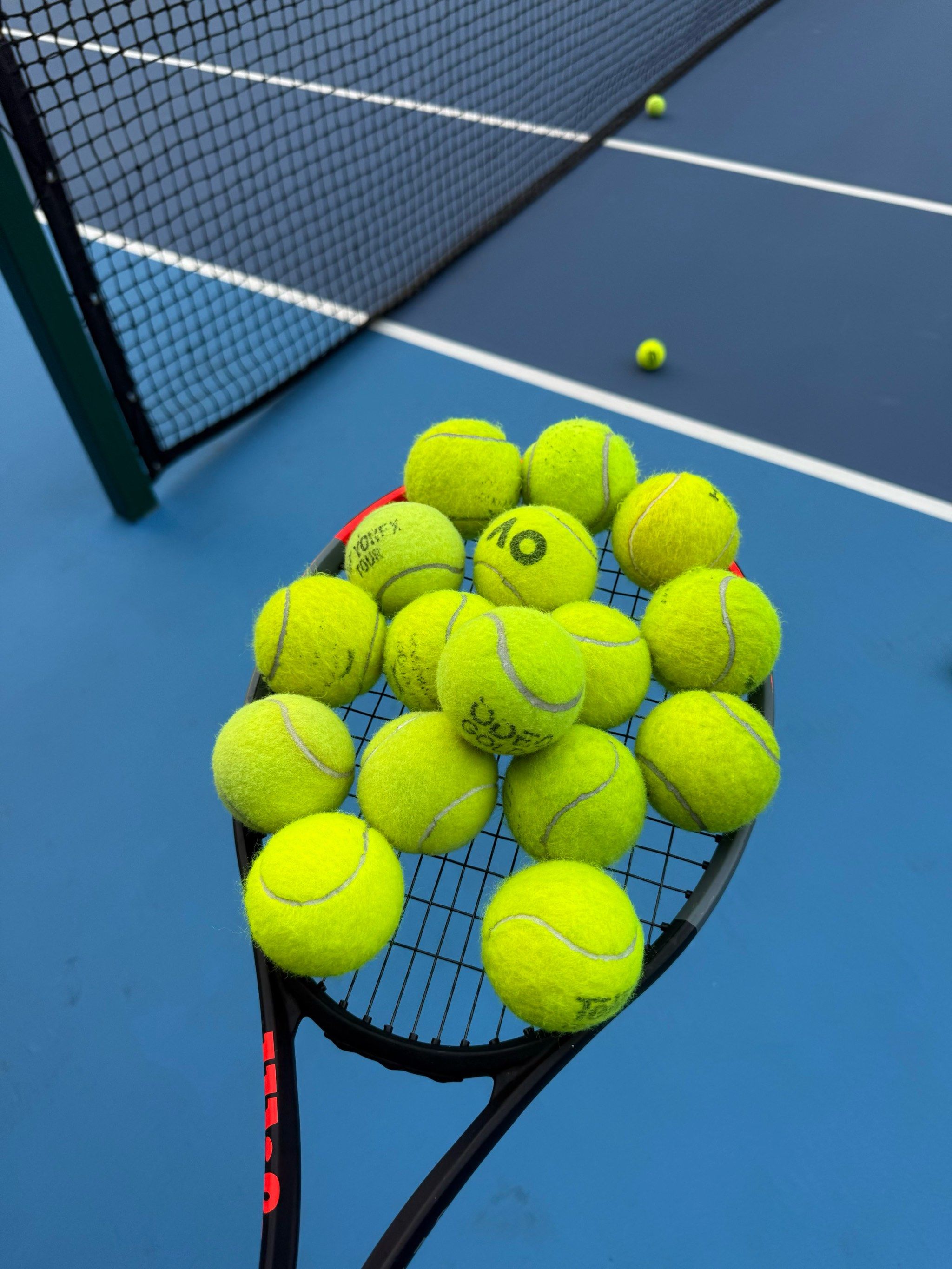 张本智和的 张本智和的