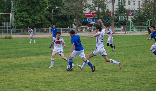 作为一支野 作为一支野