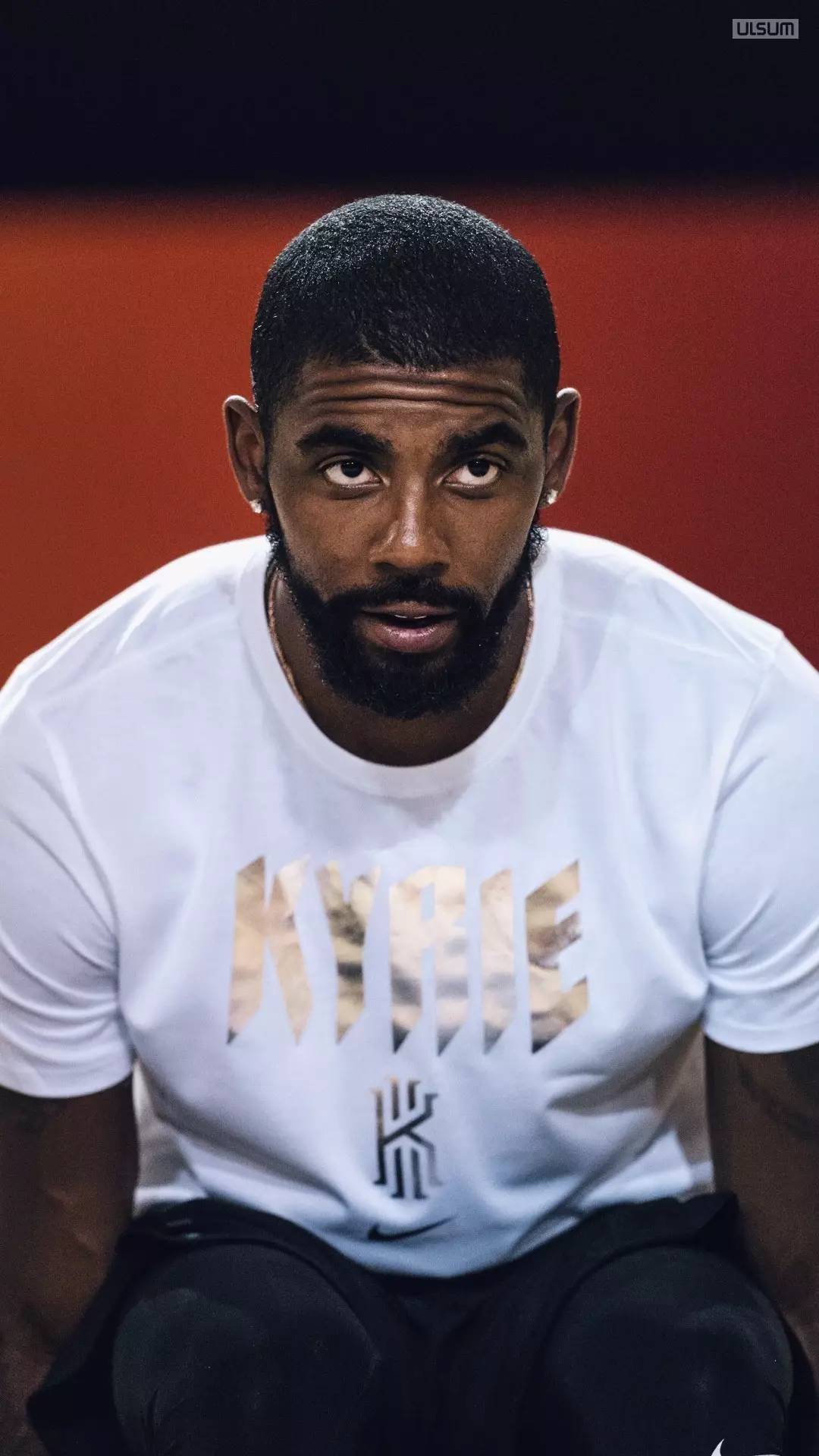 牌率调整1 牌率调整1